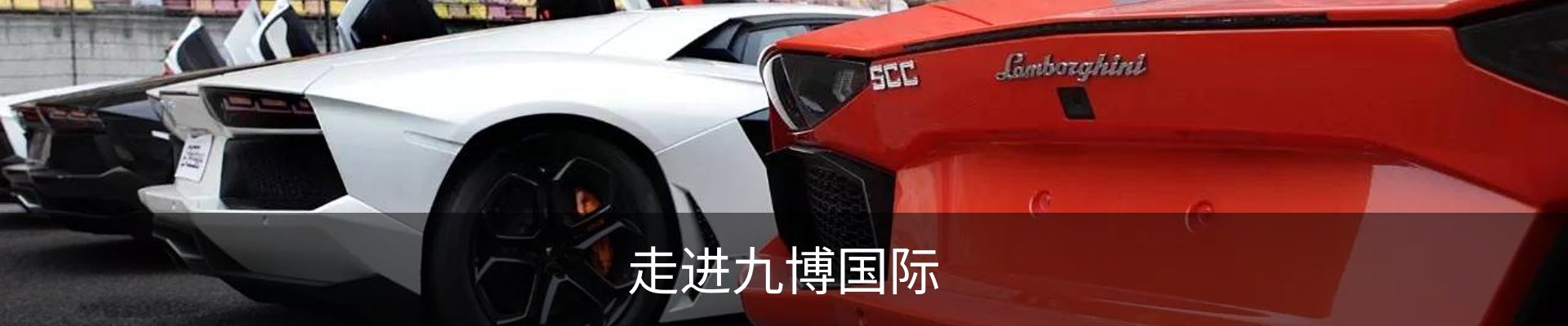 走进九博国际